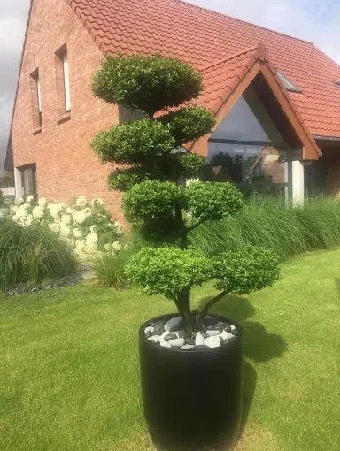 Le printemps arrive à Douai, préparez votre jardin avec Les Jardins de Jo, Douai, Les Jardins de Jo