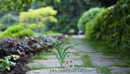 Création d'espaces verts à Douai avec Les Jardins de Jo, Douai, Les Jardins de Jo