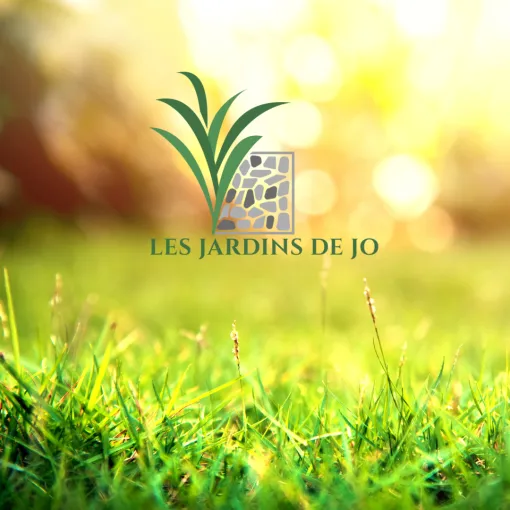 Réaménagement paysager à Douai avec Les Jardins de Jo, Douai, Les Jardins de Jo
