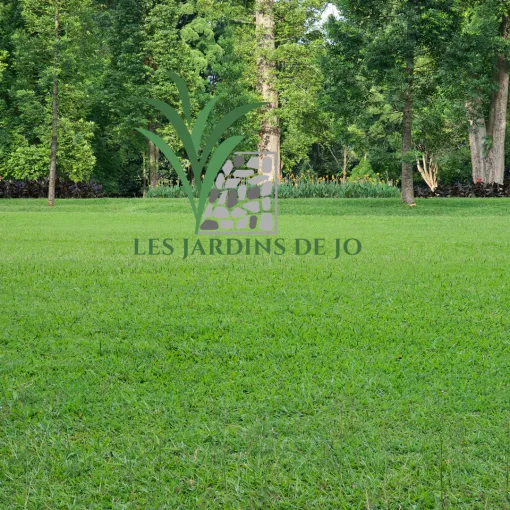 Entretien de jardin à Douai avec Les Jardins de Jo, Douai, Les Jardins de Jo