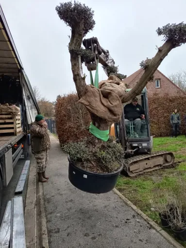 Chantier en cours à Roeulx, pour une nouvelle création paysagère, Douai, Les Jardins de Jo