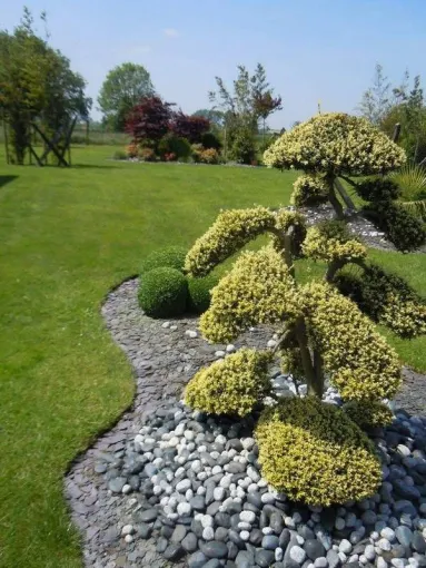 Aménagement paysager de jardin laissé à l'abandon à Valenciennes, Douai, Les Jardins de Jo