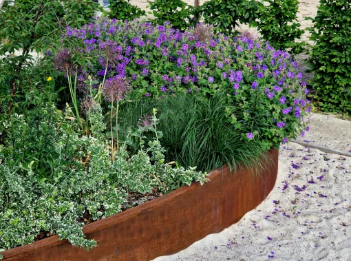Pose de bordures en acier corten à Cambrai : structurer massifs et allées, Douai, Les Jardins de Jo