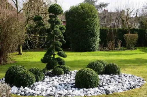 Créer un jardin zen ou exotique à Douai : conception sur mesure, Douai, Les Jardins de Jo