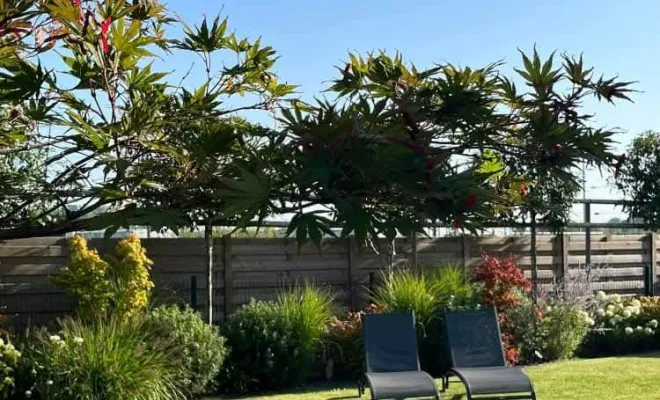 Le printemps arrive à Douai, préparez votre jardin avec Les Jardins de Jo, Douai, Les Jardins de Jo