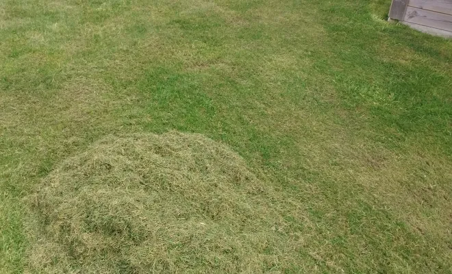 Scarification et réengazonement à Beuverie-la-Forêt avec Les Jardins de Jo, Douai, Les Jardins de Jo