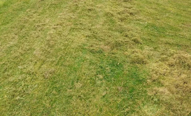 Scarification et réengazonement à Beuverie-la-Forêt avec Les Jardins de Jo, Douai, Les Jardins de Jo