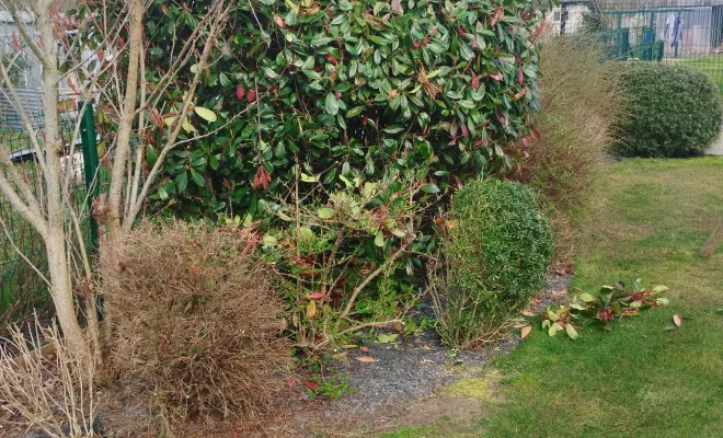 Scarification et réengazonement à Beuverie-la-Forêt avec Les Jardins de Jo, Douai, Les Jardins de Jo