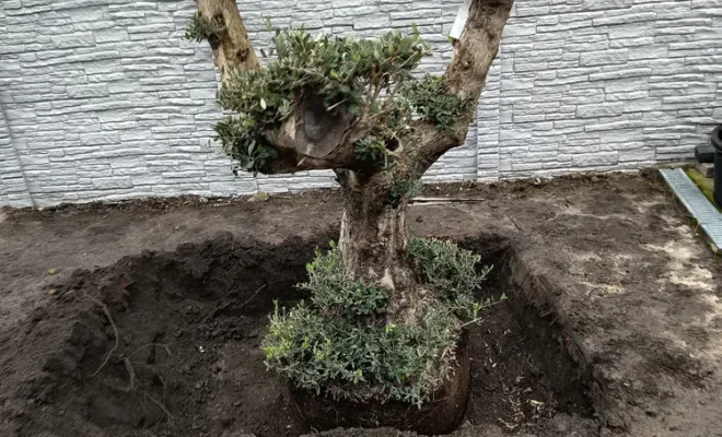 Chantier en cours à Roeulx, pour une nouvelle création paysagère, Douai, Les Jardins de Jo